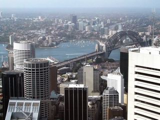 Sydney Tower view of Harbour Bridge