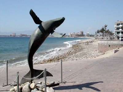 Puerto Vallarta Rio Cuale