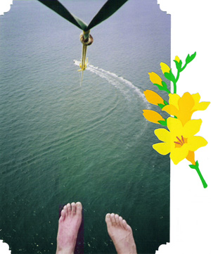 Puerto Vallarta parasailing view