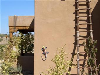 Wild Coyote Winery