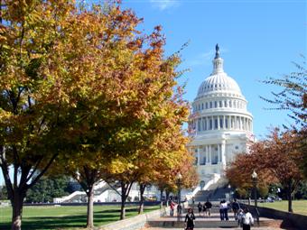 View of Capitol from west lawn