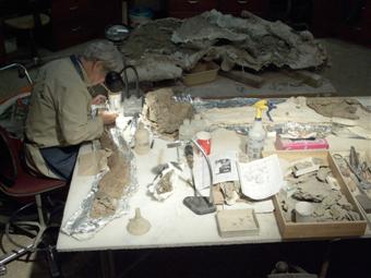 Fossil Lab
