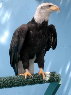 Juneau Nature Center