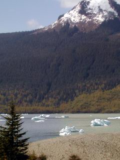 Juneau Alaska icebergs