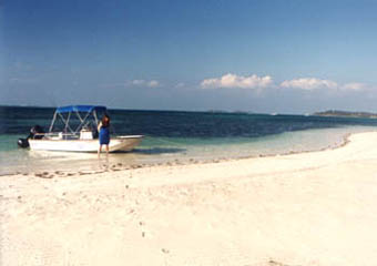 Bahamas beached boat