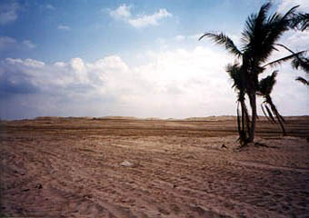 Bahamas hurricane devastation