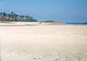 Bahamas rocky beach