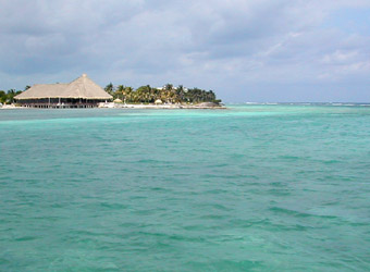 Cancun Punta Nizuc reef