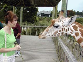 Christchurch New Zealand Orana Wildlife Park