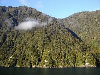 New Zealand cruise Doubtful Sound fjord