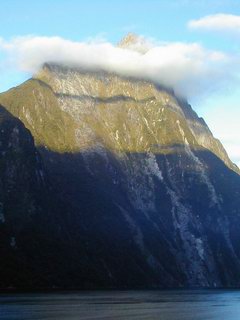 New Zealand cruise Milford Sound fiords