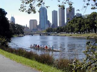 Melbourne Australia Yarra River rowers and scullers