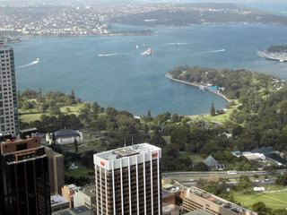 Sydney Tower view of Royal Botanical Garden