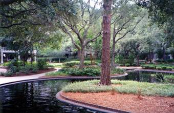 Hilton Head Marriott Grande Ocean pond