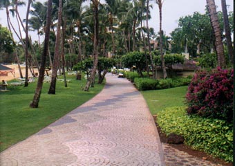 Marriott Kauai Beach Club walkway