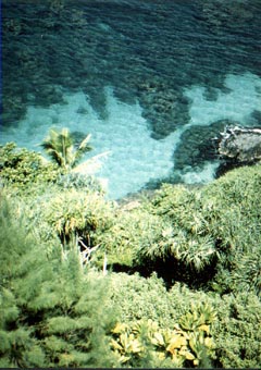 Kauai clear water snorkeling