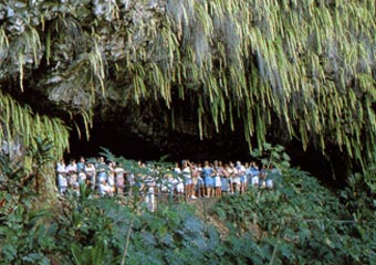 Kauai Fern Grotto