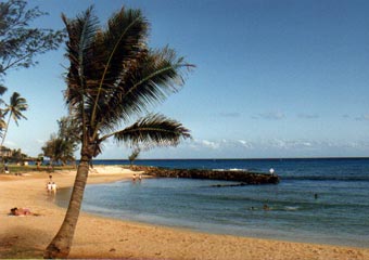 Kauai snorkeling at Poipu Beach