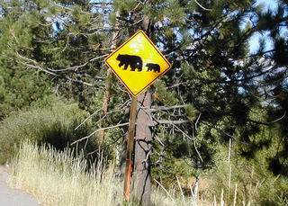 Lake Tahoe bear crossing sign