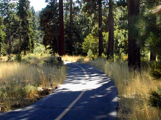 Lake Tahoe bike trail