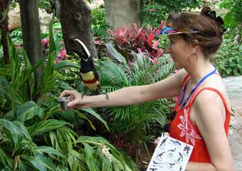 Discovery Cove Bird Aviary