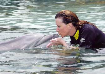 Discovery Cove Dolphin Kiss Ann