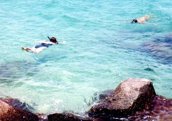 Palm Beach, Florida snorkeling