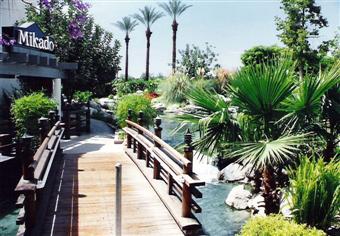 Palm Desert, Marriott Desert Springs, Mikado restaurant