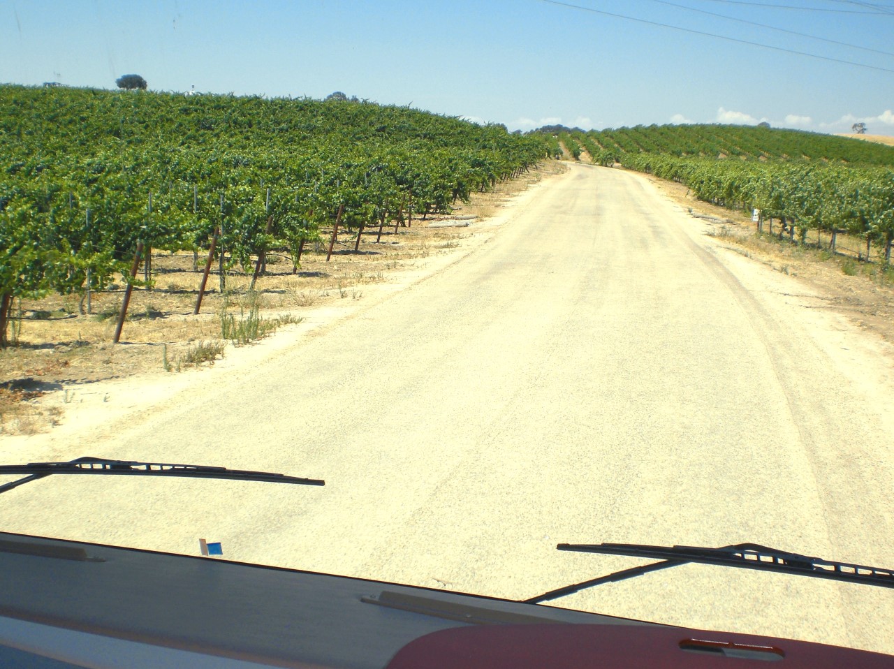 Pear Vally Vineyards driveway