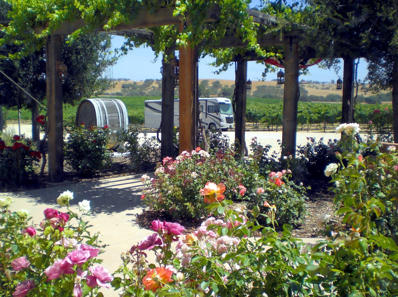 Pear Vally Vineyards tasting room