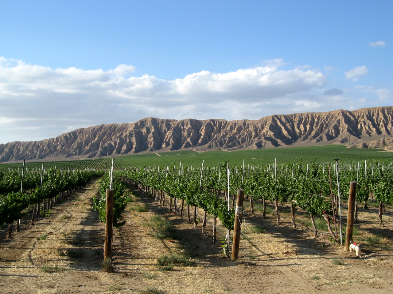 Sagebrush Annie's Winery - Harvest Hosts RV camping area
