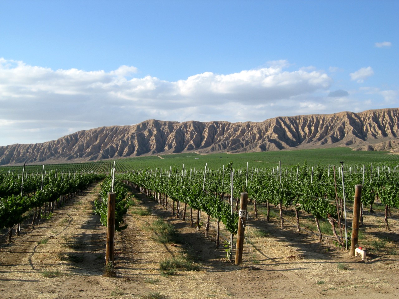 Sagebrush Annie's Winery - Harvest Hosts RV camping area