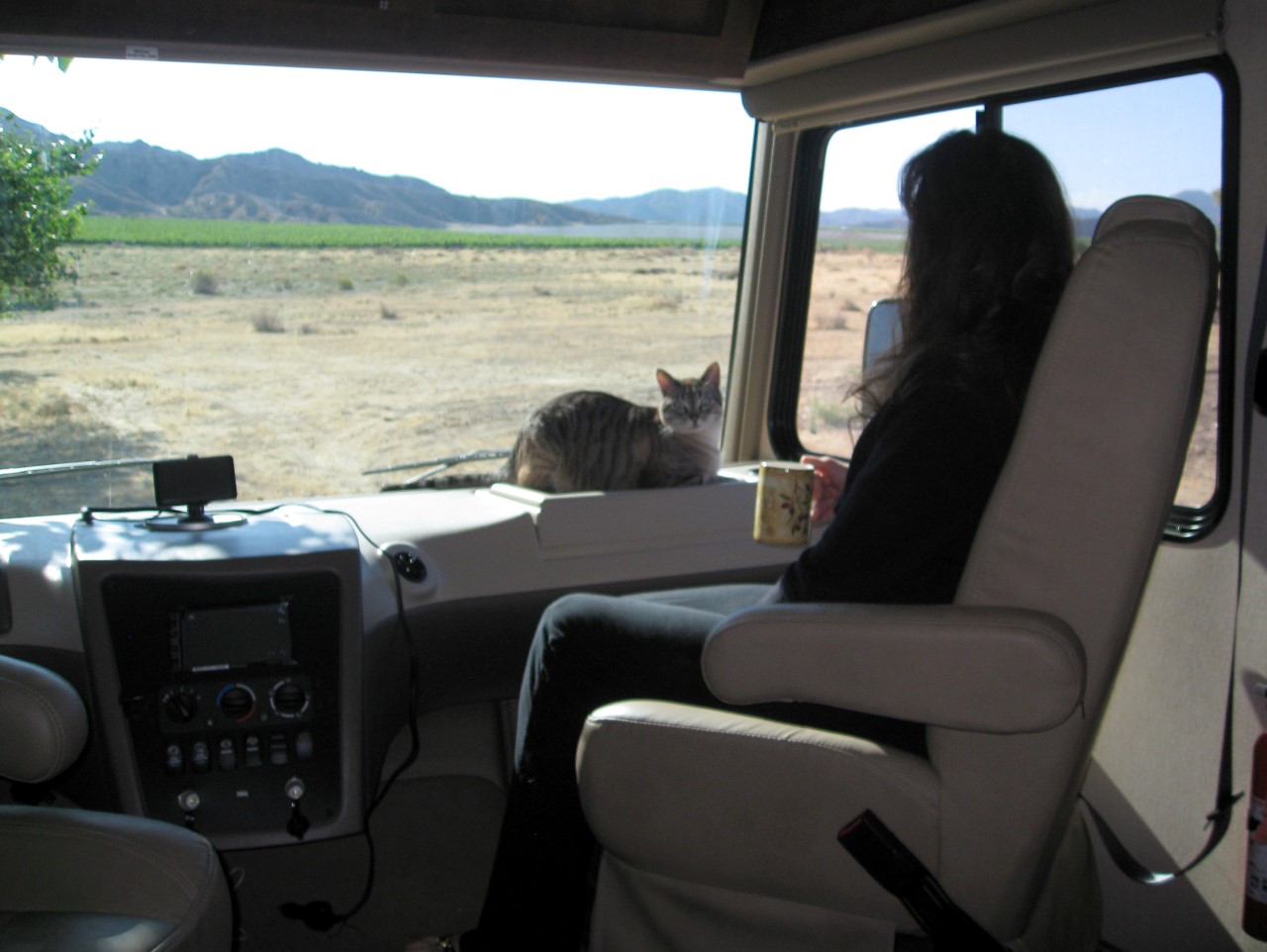 Ann & Cooper enjoying view out RV windshield