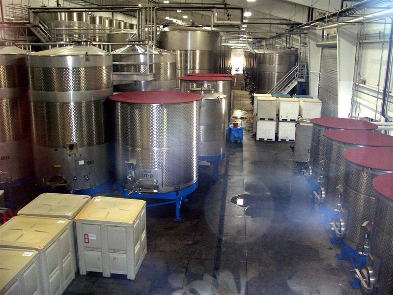 Grape juice is pumped into the stainless steel fermentation tanks