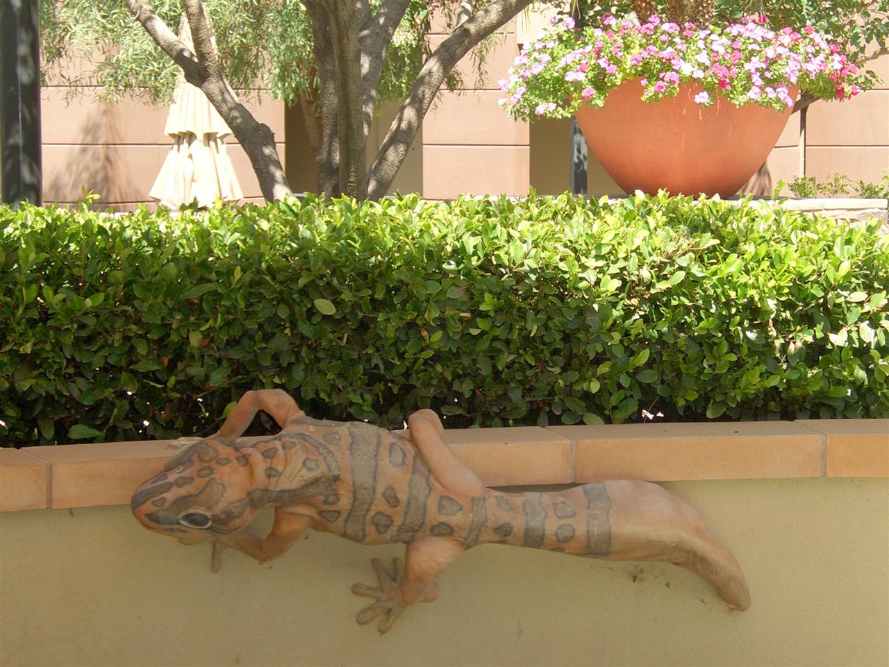 scottsdale westin kierland villas gecko sculpture