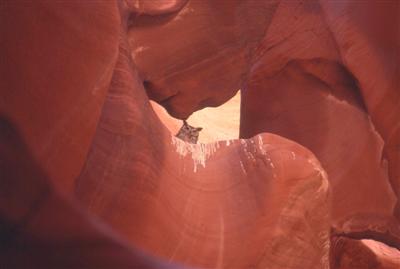 Antelope slot canyon owl