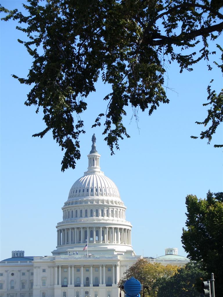 View of US Capitol framed by trees