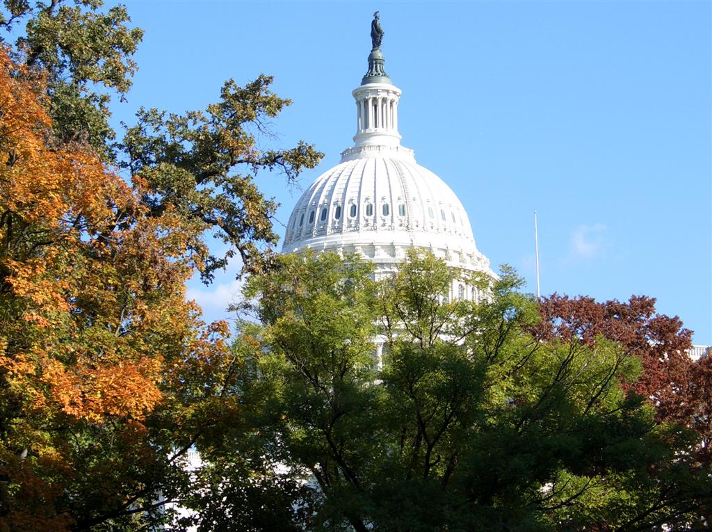 Capitol Dome in trees