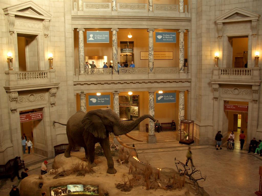 Smithsonian National Museum of Natural History Rotunda