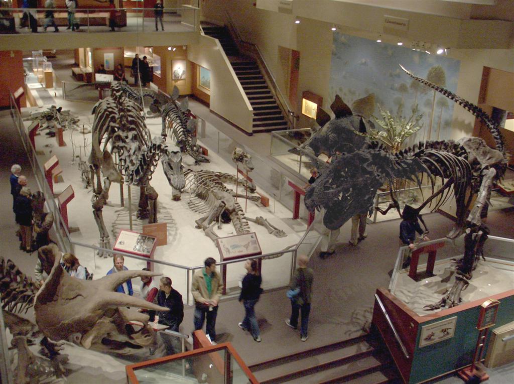 Smithsonian National Museum of Natural History Dinosaurs Exhibit